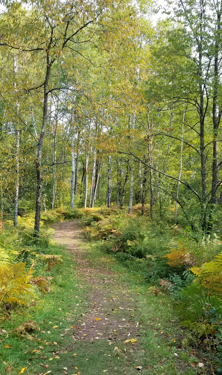MMHP Trail in the Fall season.