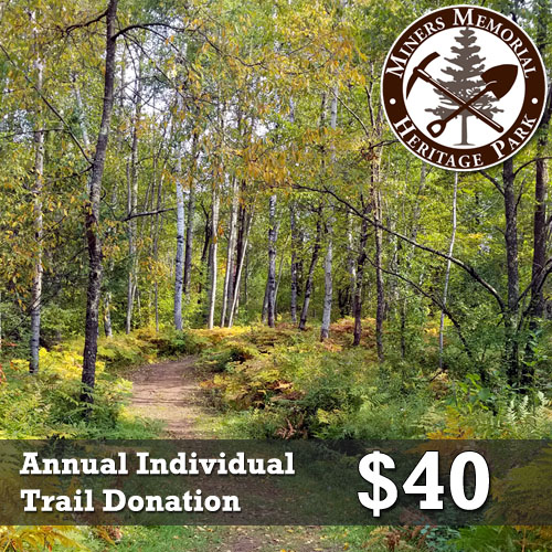Annual Individual Donation